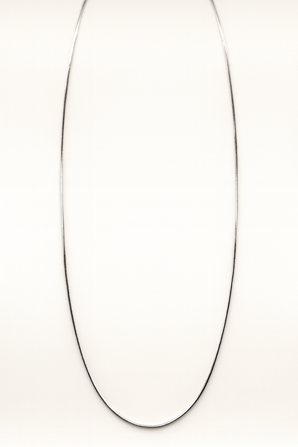 Delicate Snake Chain Necklace